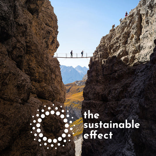 Learning expedition: The sustainable effect